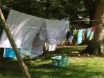 Clothes hung on line
