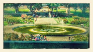 Exposition Park Rose Garden